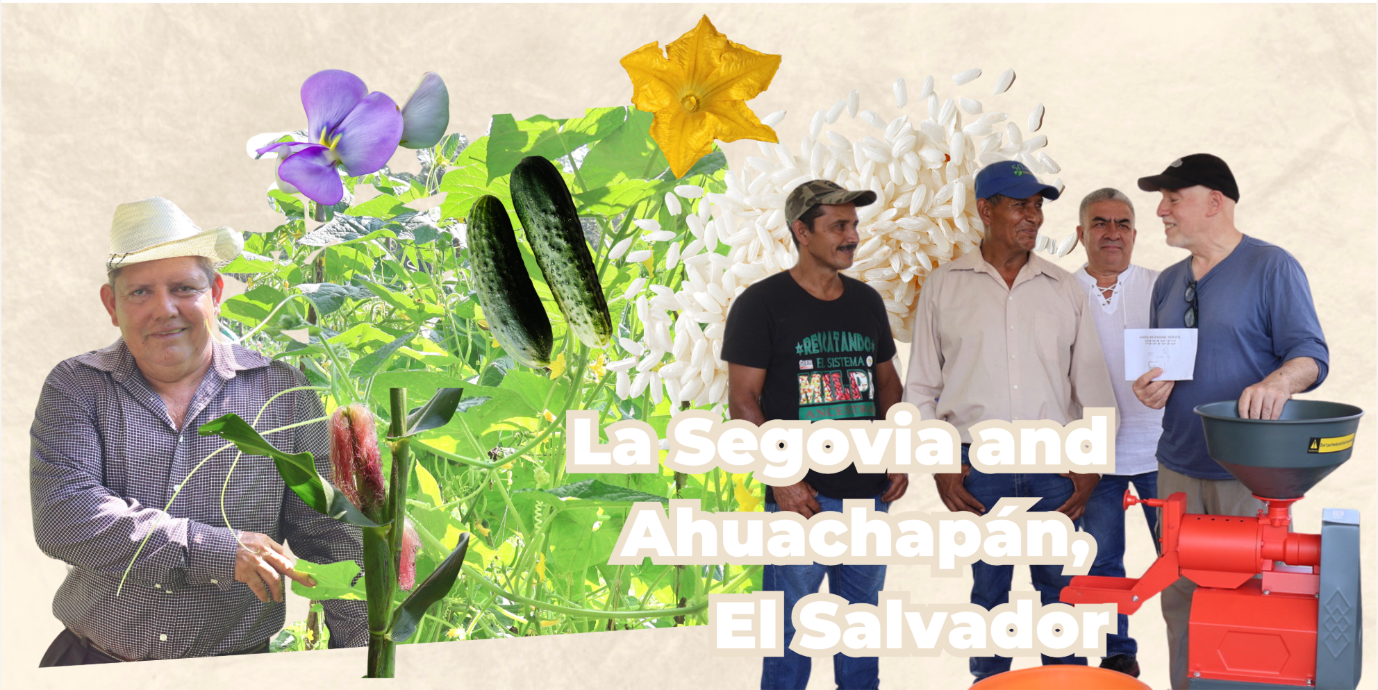 Planting in Ahuachapán and La Segovia, El Salvador.